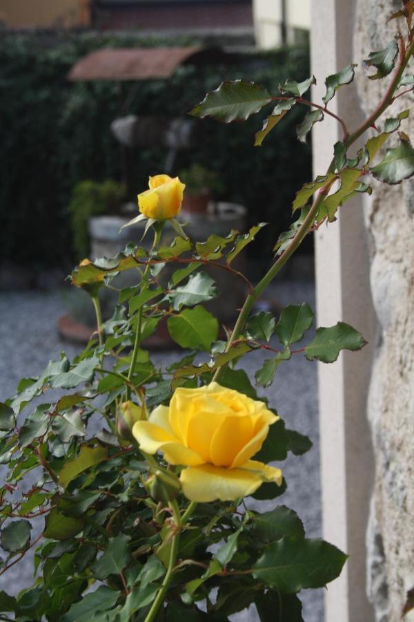 Cascina San Martino Bed & Breakfast Passirano Exterior foto