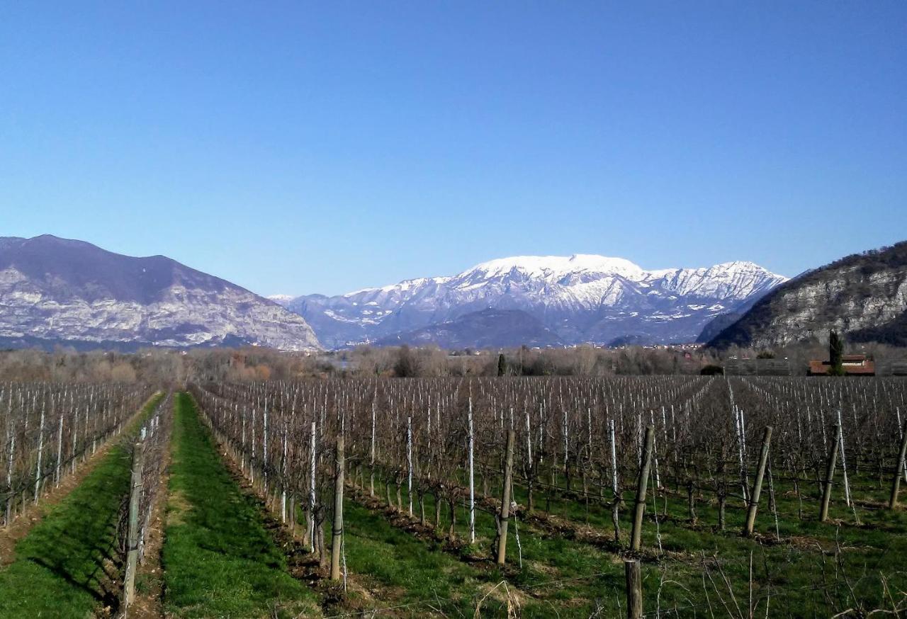Cascina San Martino Bed & Breakfast Passirano Exterior foto